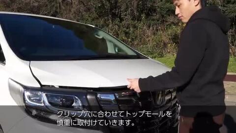 希少　30 アルファード　フードトップモール　086 ラグジュアリーホワイト純正 シェアスタイル (予約 受注生産) アルファード 30系 フード