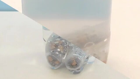 エコロインターナショナル❤️シリカ水素 ルルドの恵み 4箱 バスボール セット imgrc0077947676.jpg