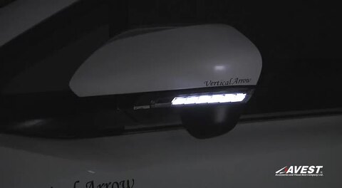 Verticar Arrow 50プリウス前期 LEDウィンカー