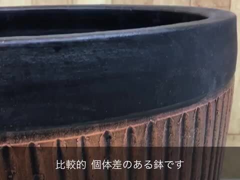 バリエム鉢　黒の丸型植木鉢 バリエム鉢 黒の丸型植木鉢 楽天市場】植木鉢 おしゃれ 陶器鉢 5号 丸