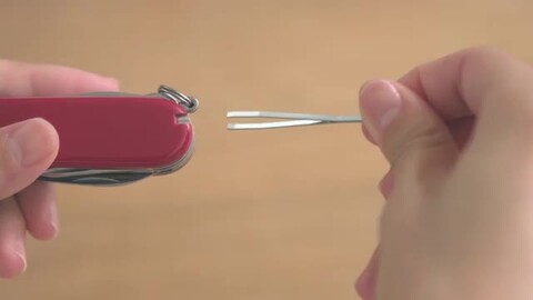 楽天市場】当店限定商品 ビクトリノックス 公式 VICTORINOX レンジャー