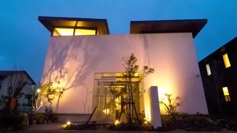 ひかりノベーション 木のひかり 基本セット　屋外照明ライトアップ　ガーデンライト ひかりノベーション 木のひかり 基本セット /A: ライト