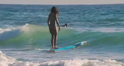 楽天市場】2025 SOFTECH ROLLER 9'0 ソフテック サーフボード