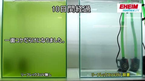 楽天市場】エーハイム リーフレックス UV350 殺菌灯 水槽 外部