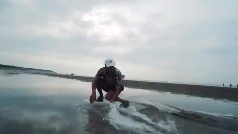 楽天市場】DB ディービー SAND FISH CRUISER サンドフィッシュ 3枚層