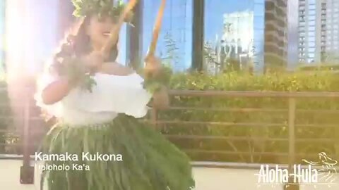 イプヘケ　60cm 新品　フラダンス　打楽器 イプヘケ 60cm 新品 フラダンス 打楽器 楽天市場】イプヘケ