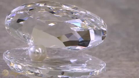 楽天市場】スワロフスキー 貝と真珠 スモール 5285132 Swarovski