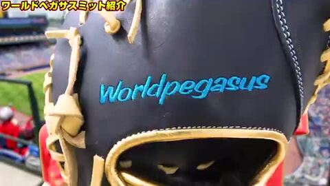 楽天市場】【交換送料無料】 ワールドペガサス WORLD PEGASUS 野球