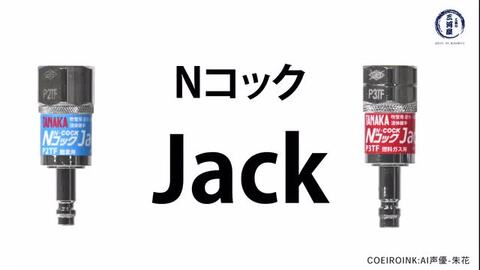 楽天市場】日酸TANAKA 吹管 用 逆火 逆流防止機構付 ワンタッチ 継手 N