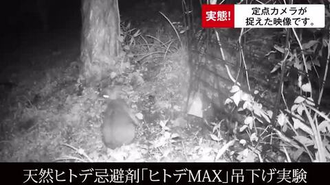 楽天市場】天然ヒトデ忌避剤「ヒトデMAX」大容量10kg袋 【送料無料】害