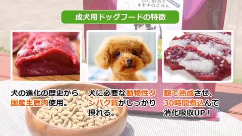 楽天市場】【初回お試しサンプル・送料無料】DailyStyle プレミアム