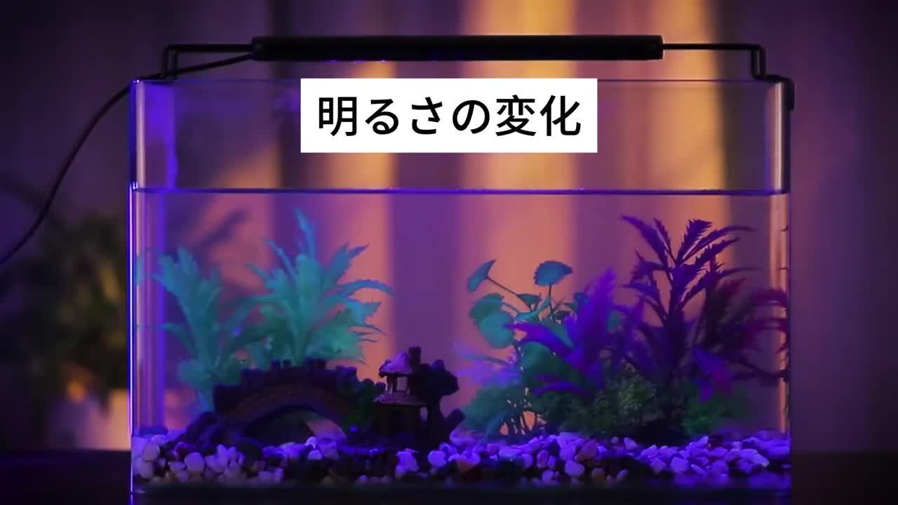 楽天市場】10月20日限定10％OFF！水槽 ライト 水槽用 照明 led