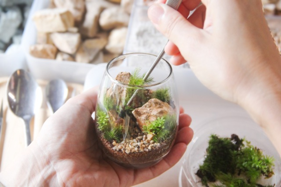 楽天市場 | 苔むすび 楽天市場店 - 制作キットの種類