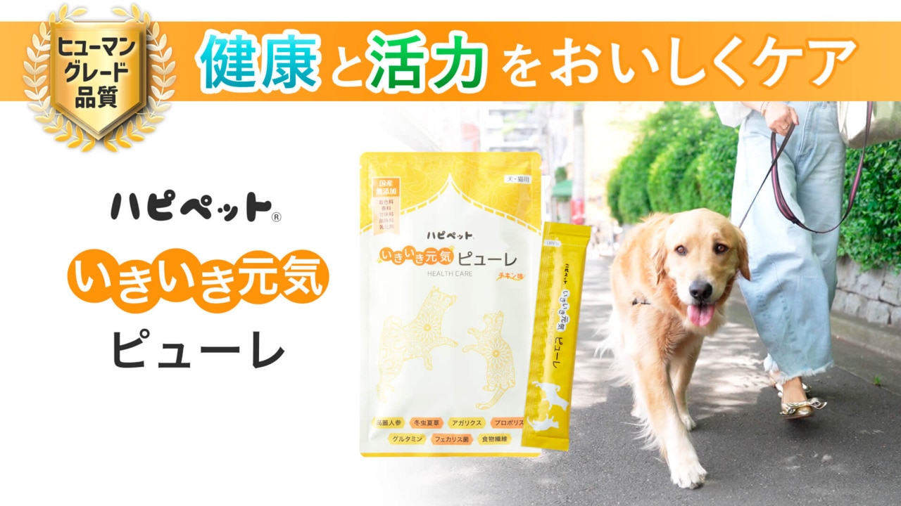 楽天市場】【楽天1位・獣医師推奨】犬 猫 国産無添加 ピューレ シニア