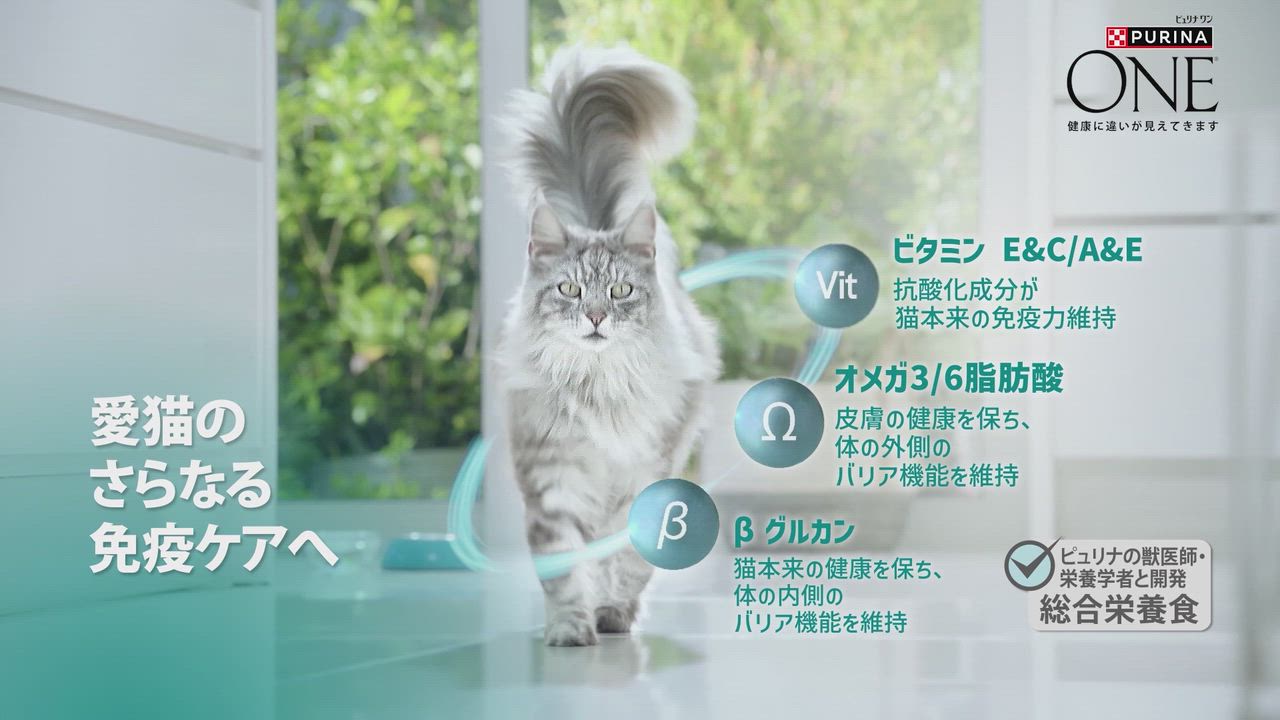 楽天市場】＼1kg当たり999円?!／ ピュリナワン 猫 子猫 避妊・去勢