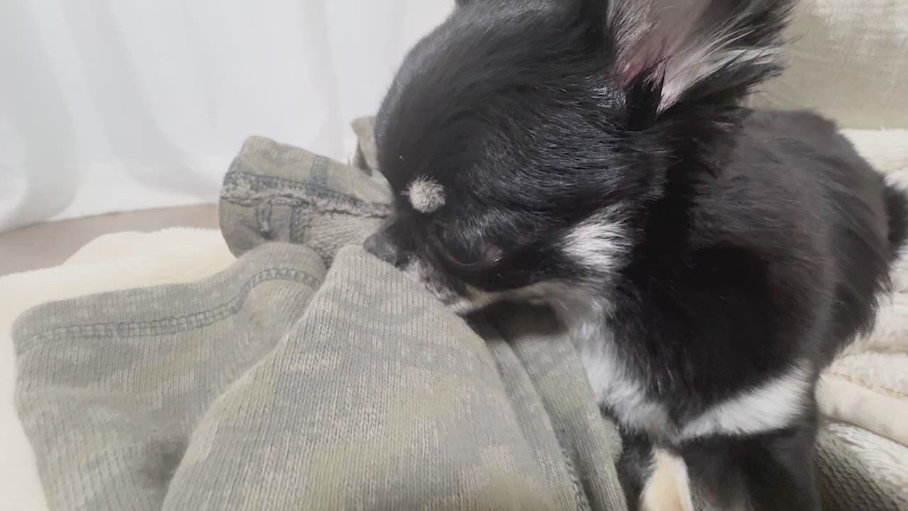 ❤️にこまるさん専用商品❤️ にこまるさんの投稿 - moflog by Rakuten | moflog（モフログ）